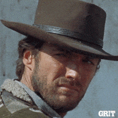 1000017527.gif